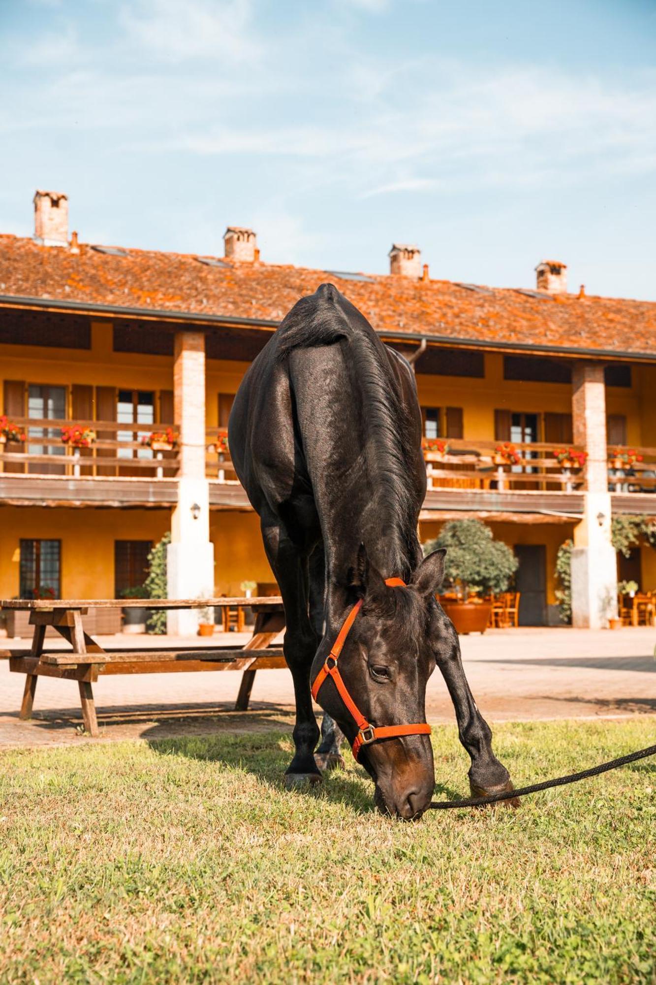 Agriturismo Bassanella Treviglio Exterior foto